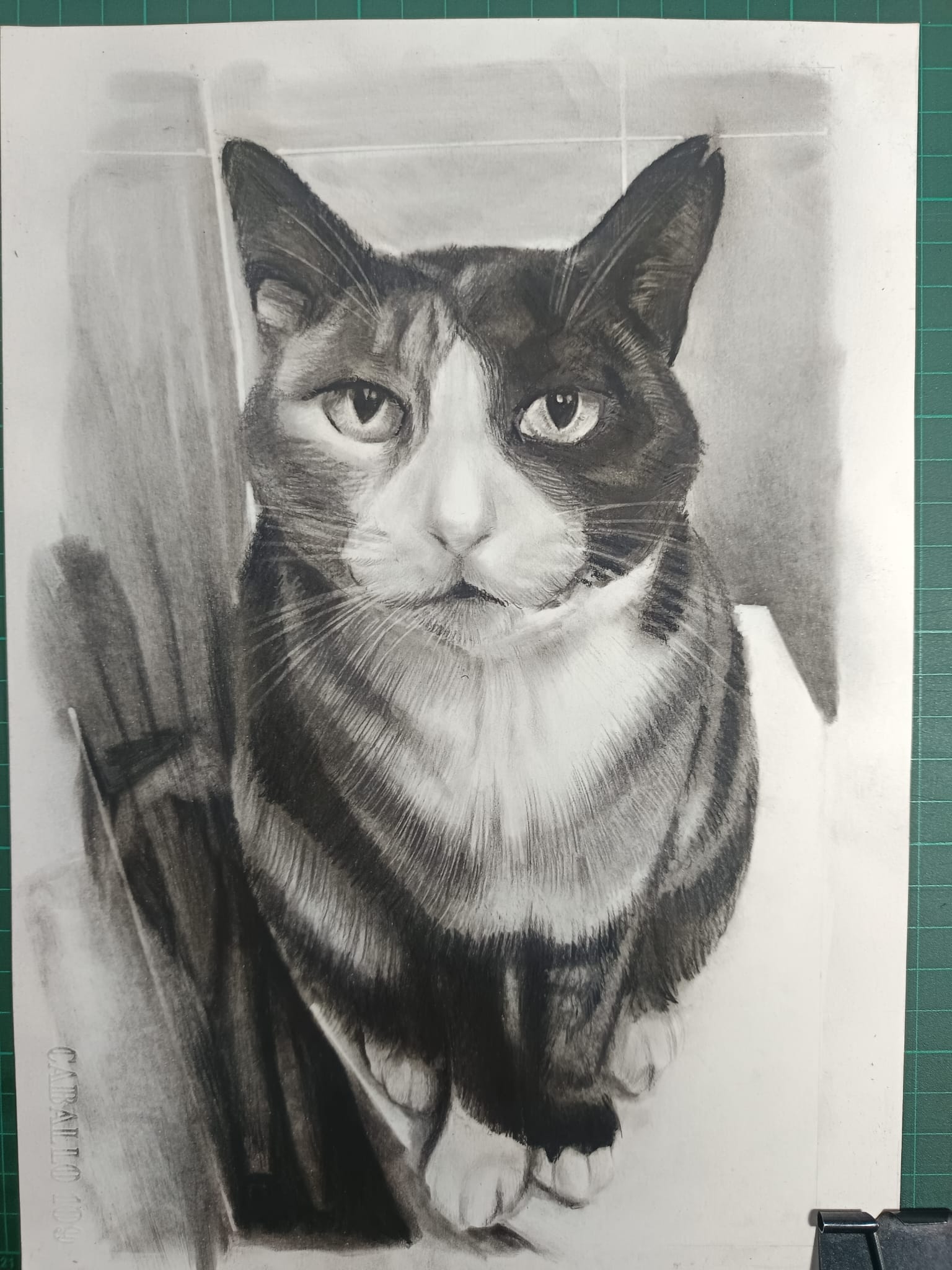 retrato realista de mascota