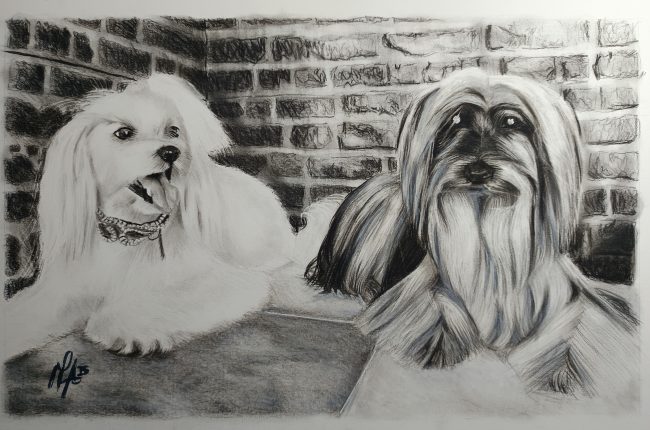 Retrato Retrato Osca Castro