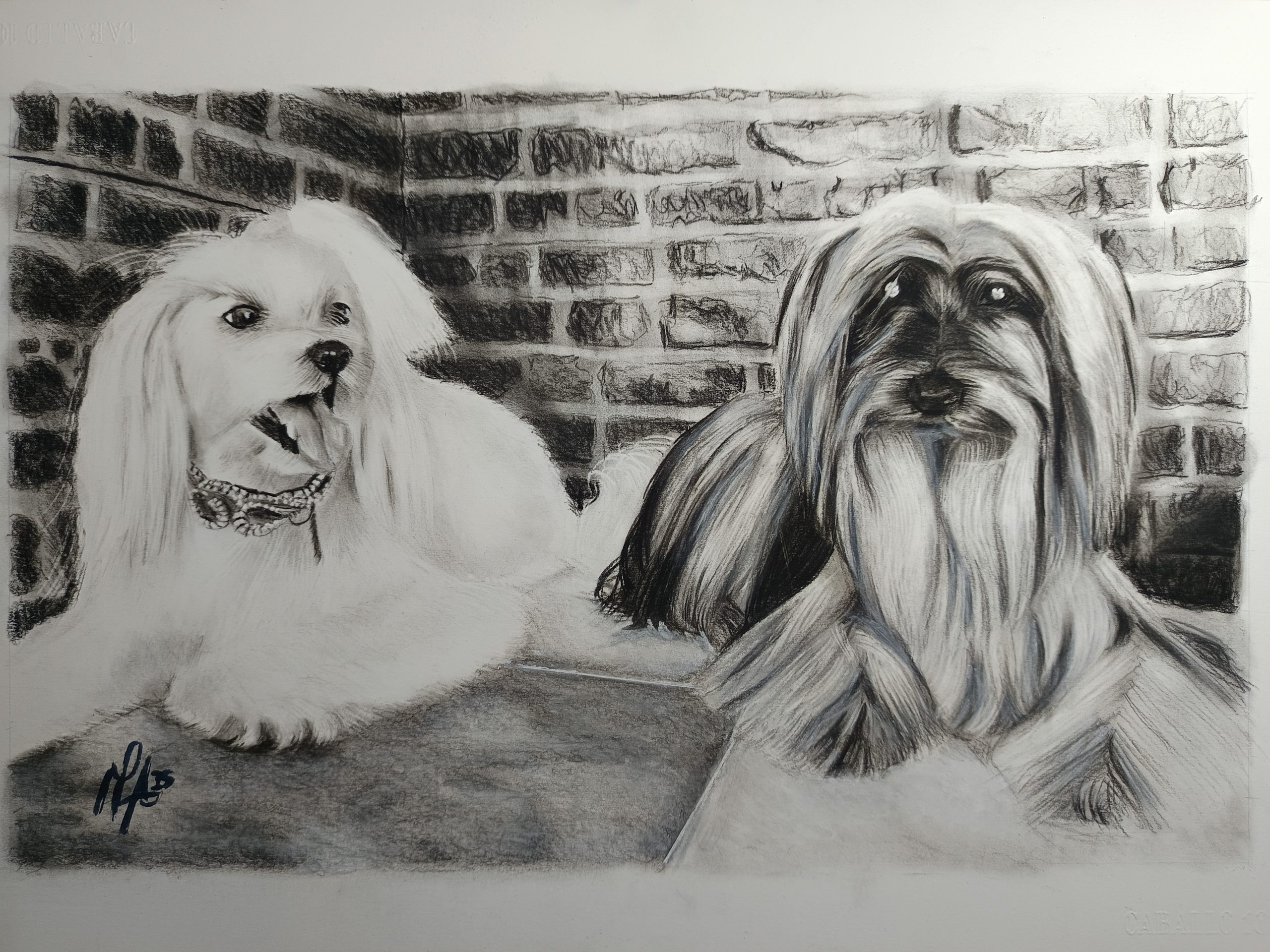 Retrato Retrato Osca Castro